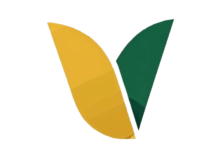 VEDGEX ACADEMY